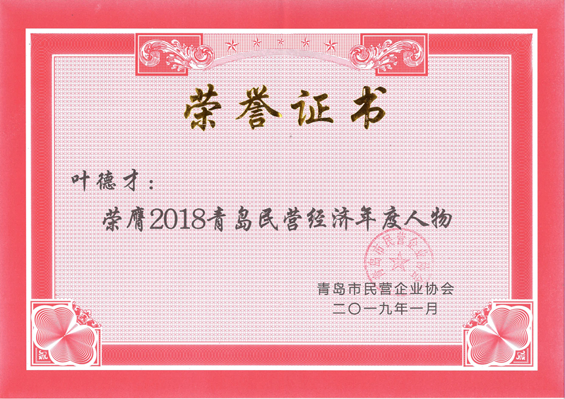 民營企業(yè)高質(zhì)量發(fā)展，德才集團(tuán)再獲殊榮領(lǐng)跑民企(圖7)