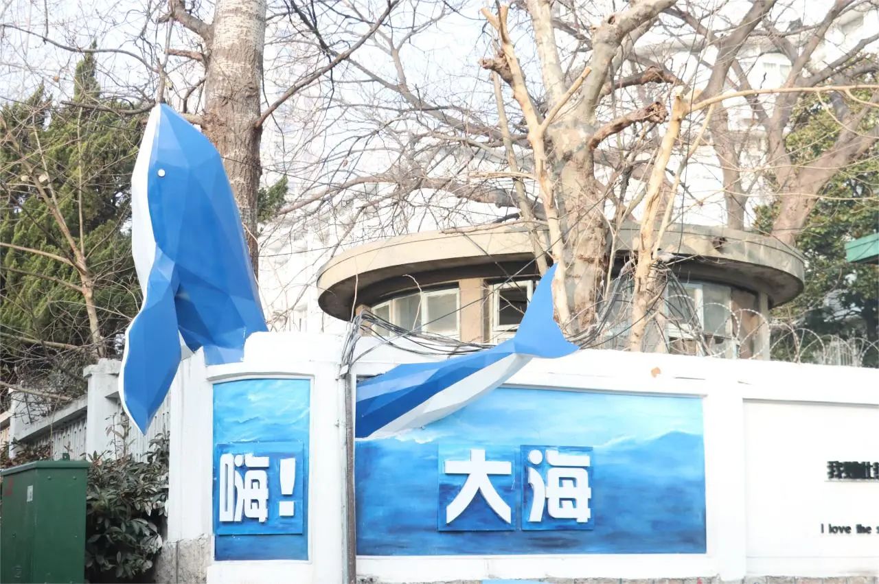 青島市城市更新和城市建設總指揮部對中建聯(lián)合市南區(qū)金湖路海洋特色街區(qū)項目開展觀摩(圖5)