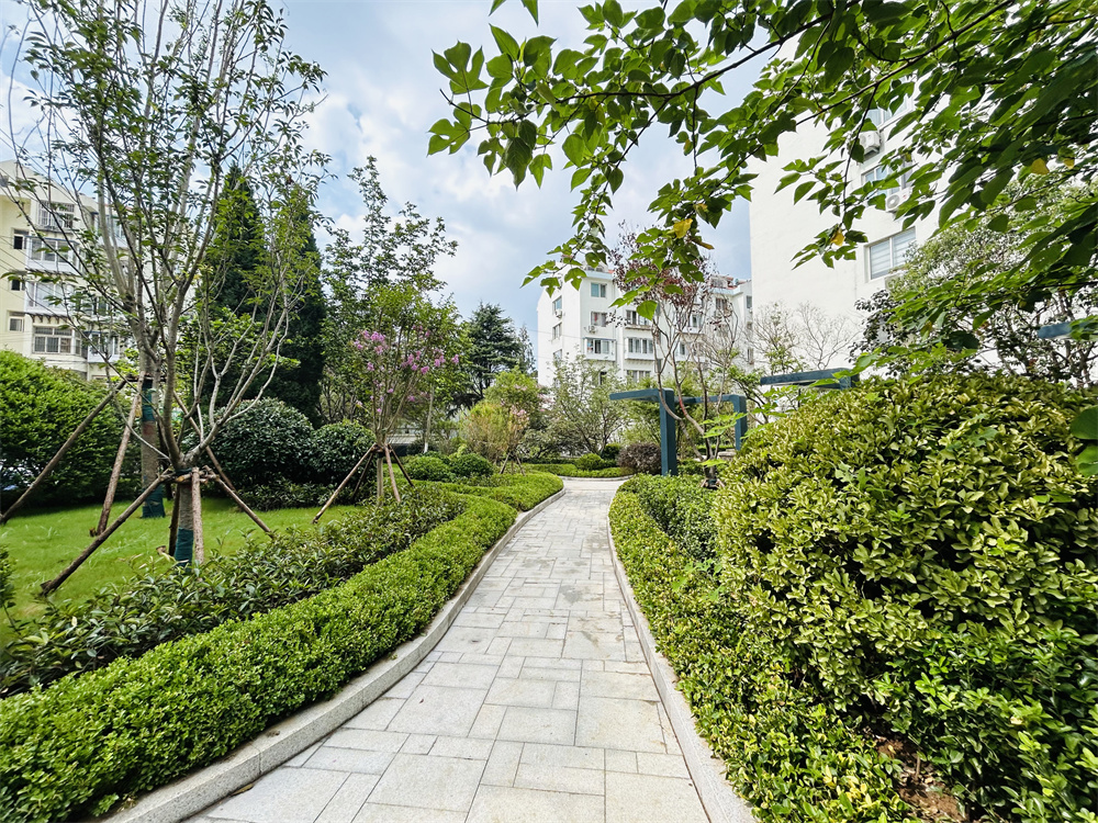 創(chuàng)新模式打造品質(zhì)社區(qū)——青島市永嘉路二片區(qū)老舊小區(qū)改造項(xiàng)目(圖13)